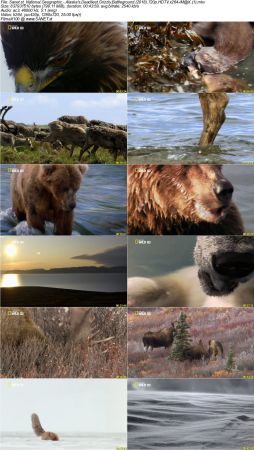 National Geographic - Alaska's Deadliest Grizzly Battleground 2018 720p HDTV x264-iM@X
