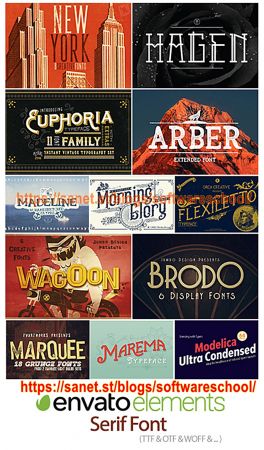 Envato Elements Serif Font # 002