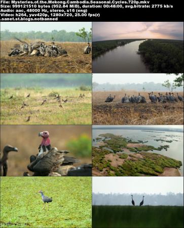 Mysteries Of The Mekong - Cambodia: Seasonal Cycles (2017) 720p AMZN WEB-DL DD2 0 H264-NTb