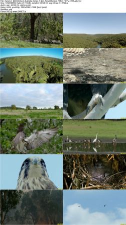 Smithsonian Earth - Wild Birds of Australia Series 1 2017 1080p HDTV x264 AAC MVGroup