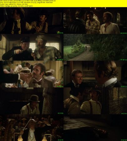 Harry and Walter Go to New York 1976 BRRip XviD MP3-XVID