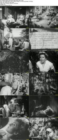 Three Came Home 1950 DVDRip AAC x264-iM@X