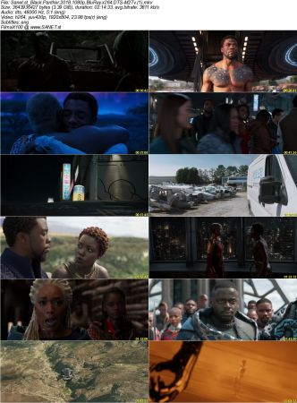 Black Panther 2018 1080p BluRay x264 DTS-M2Tv