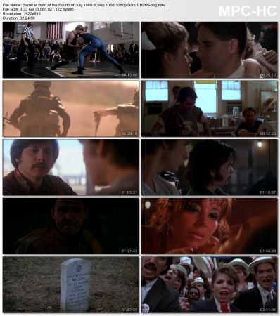 Born of the Fourth of July 1989 BDRip 10Bit 1080p DD5.1 H265-d3g