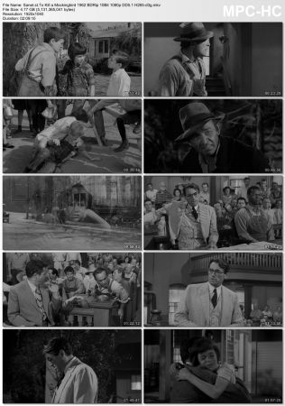 To Kill a Mockingbird 1962 BDRip 10Bit 1080p DD5.1 H265-d3g