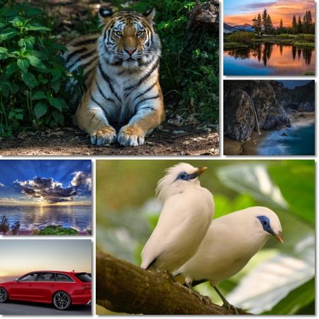 Beautiful HD Wallpapers Pack 1129