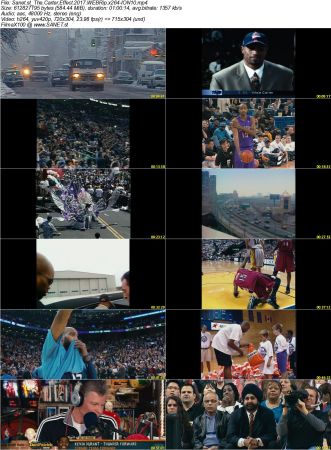 The Carter Effect 2017 WEBRip x264-ION10