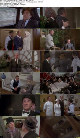 High Anxiety 1977 BRRip XviD MP3-XVID