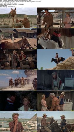 Hondo 1953 720p BluRay x264-iM@X