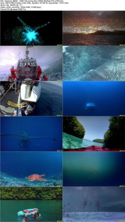 IMAX Documentary Collection HD 1080p-Mixed