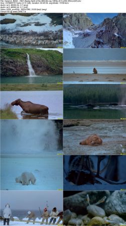 IMAX Documentary Collection HD 1080p-Mixed