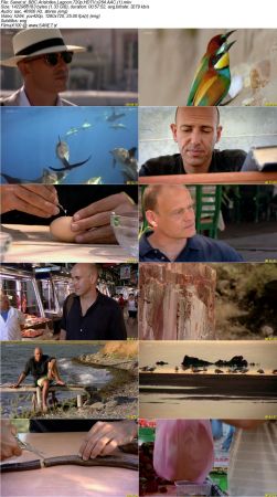 BBC - Aristotles Lagoon 2010 720p HDTV x264 AAC MVGroup