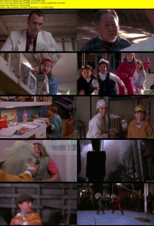 3 Ninjas 1992 WEBRip x264-ION10