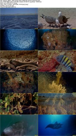 IMAX Documentary Collection HD 1080p-Mixed