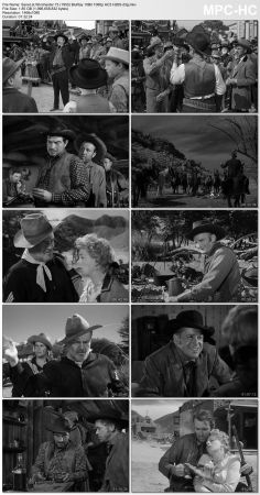 Winchester 73 1950 BluRay 10Bit 1080p AC3 H265-d3g