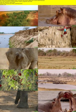 LoveNature - Big Dry: Series 1 (2017) 1080p HDTV x264 AAC MVGroup