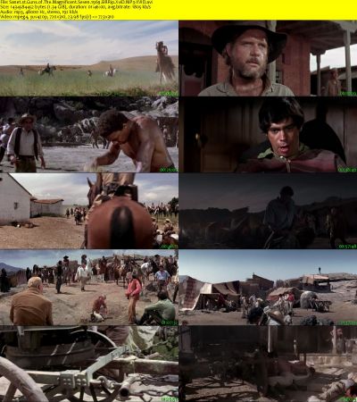Guns of The Magnificent Seven 1969 BRRip XviD MP3-XVID