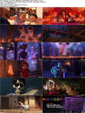 Coco 2017 SWEDiSH 720p BRRip x264-Graniten