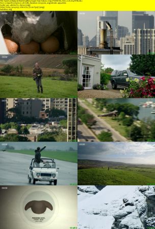 BBC - Natural World S38E03 Super Fast Falcon 720p iP WEB-DL AAC2.0 H264-RTN