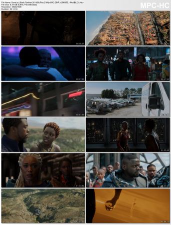 Black Panther 2018 BluRay 2160p UHD SDR x264 DTS NextBit
