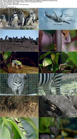 Smithsonian Earth - Mysteries of Evolution Series 1 2017 1080p HDTV x264 AAC MVGroup