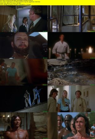 Kill and Kill Again 1981 BRRip XviD MP3-XVID