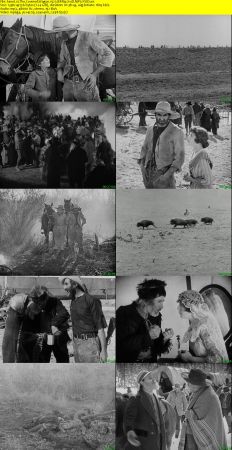The Covered Wagon 1923 BRRip XviD MP3-XVID