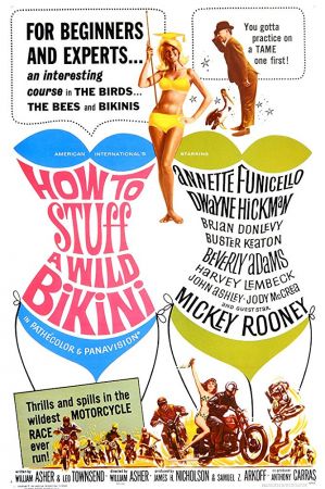 How to Stuff a Wild Bikini 1965 DVDRip AAC1.0 x264-iM@X