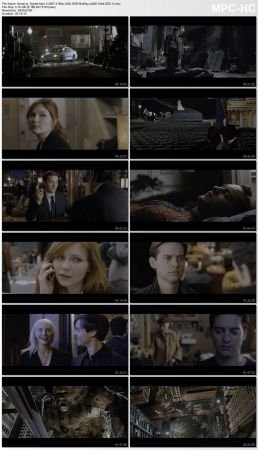 Spider-Man Collection Box Set 5 2160p UHD HDR BluRay x265 10bit DD5.1-iM@X