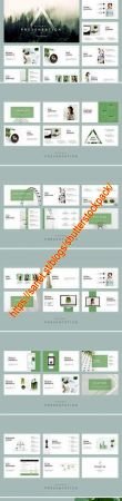 Minimal Presentation PowerPoint 2458298