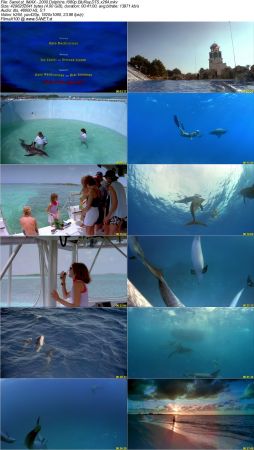 IMAX Documentary Collection HD 1080p-Mixed