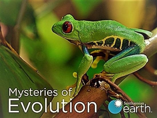 Smithsonian Earth - Mysteries of Evolution Series 1 2017 1080p HDTV x264 AAC MVGroup