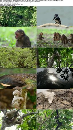 Mysteries Of The Mekong - Laos The Mountain Wilds 2017 720p AMZN WEB-DL DD2 0 x264-iM@X
