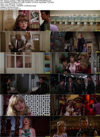 Grease 2 1982 720p BluRay DD5.1 x264-SKALiWAGZ