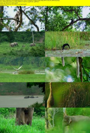 LoveNature - Mysteries of the Mekong Series 1 Part 03: Thailand: Coming of Age (2018) 1080p HDTV x264 AAC MVGroup