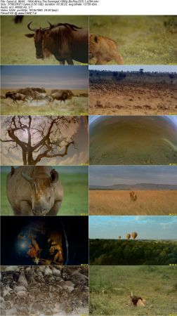 IMAX Documentary Collection HD 1080p-Mixed