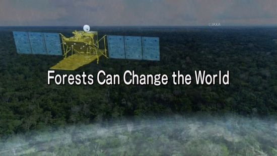 Forest can change the world (2018) 1080p HDTV x264-DARKFLiX