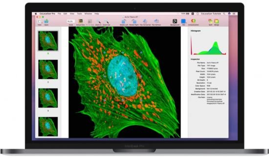 CoLocalizer Pro 5.3.1 macOS