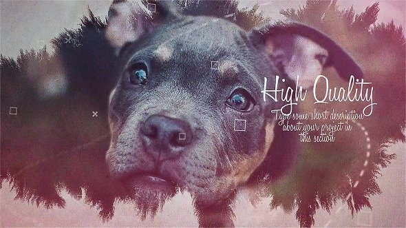 Ink Slideshow - Premiere Pro Templates