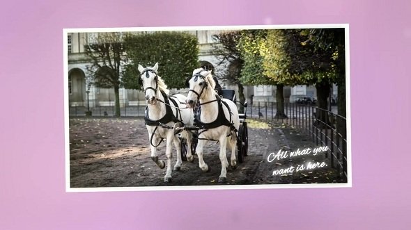 Elegant Photos V2 88730 - After Effects Templates