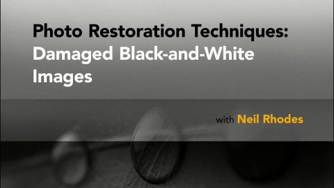 Lynda - Photo Restoration Techniques Damaged Black and White Images
