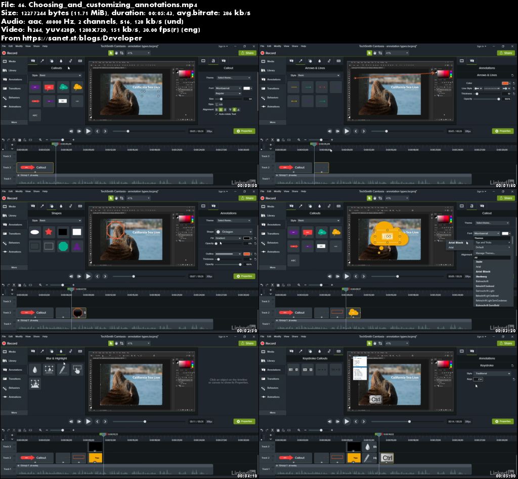camtasia 2018 video assets