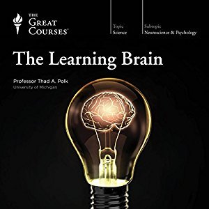 The Learning Brain (Audiobook)