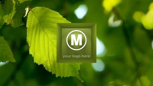 Cube Logo 78472 - After Effects Templates