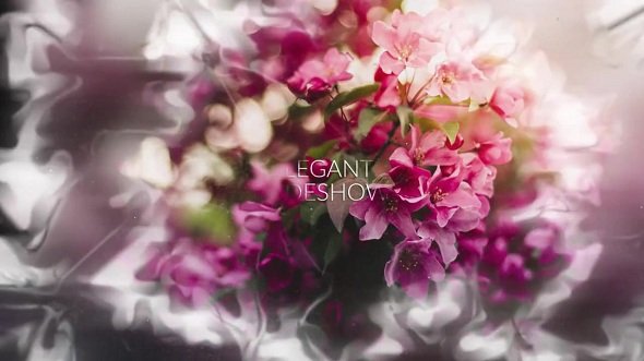 Elegant Slideshow 90334 - After Effects Templates
