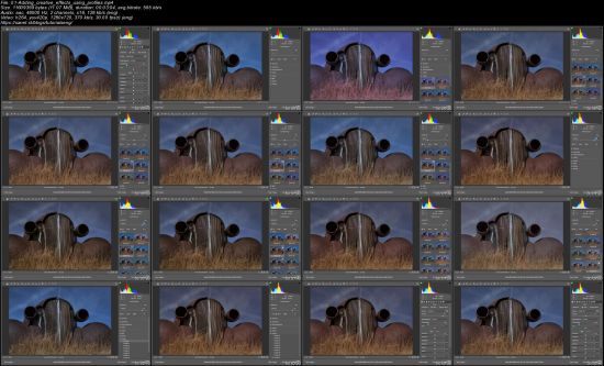 Adobe Camera Raw Essential Training
