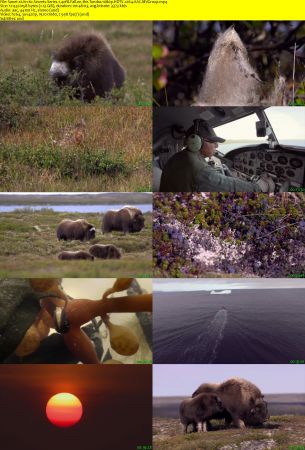 Smithsonian Earth - Arctic Secrets: Series 1 (2015) 1080p HDTV x264 AAC MVGroup