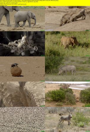 Smithsonian Earth - Great Parks of Africa: Series 1 (2017) 1080p HDTV x264 AAC MVGroup