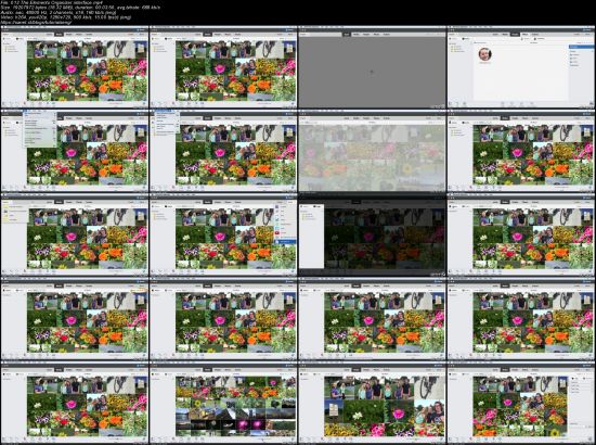 Lynda - Learning Photoshop Elements 15