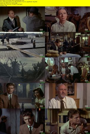 Lisa 1962 HDTV x264-REGRET
